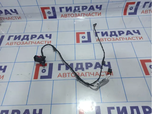 Проводка двери задней левой Cadillac SRX 25746684