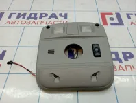 Плафон салонный Cadillac SRX 19151187