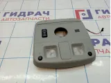 Плафон салонный Cadillac SRX 19151187