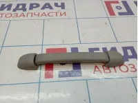 Ручка внутренняя потолочная Cadillac SRX 88952102