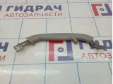 Ручка внутренняя потолочная левая Cadillac SRX 25770389