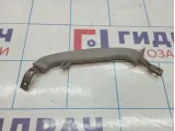 Ручка внутренняя потолочная левая Cadillac SRX 25770389
