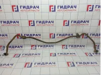 Стабилизатор задний Cadillac SRX 25768322