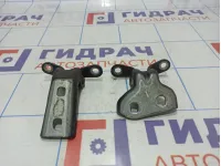 Петли двери задней левой Cadillac SRX