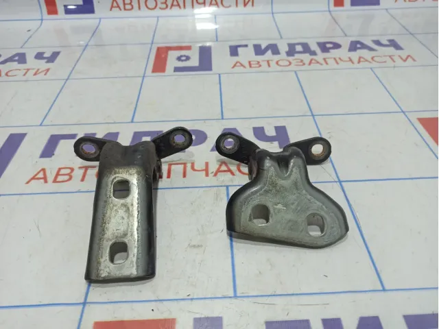 Петли двери задней правой Cadillac SRX