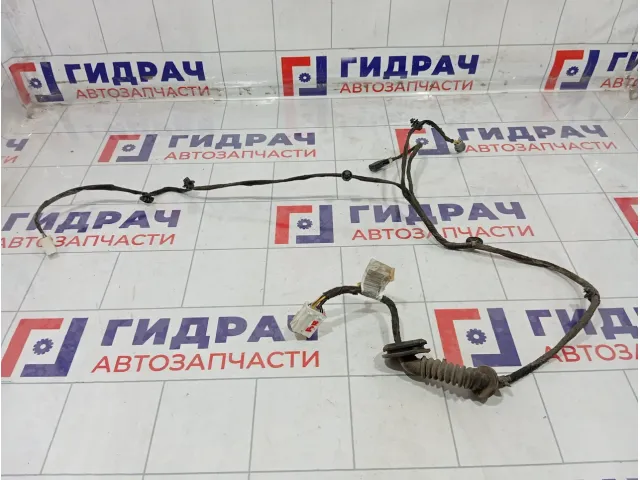 Проводка двери задней правой Chery IndiS S183724090