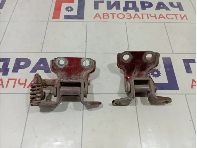 Петли двери задней правой Chery IndiS