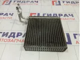 Испаритель кондиционера Chery IndiS N670137W425