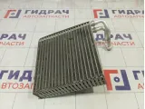 Испаритель кондиционера Chery IndiS N670137W425
