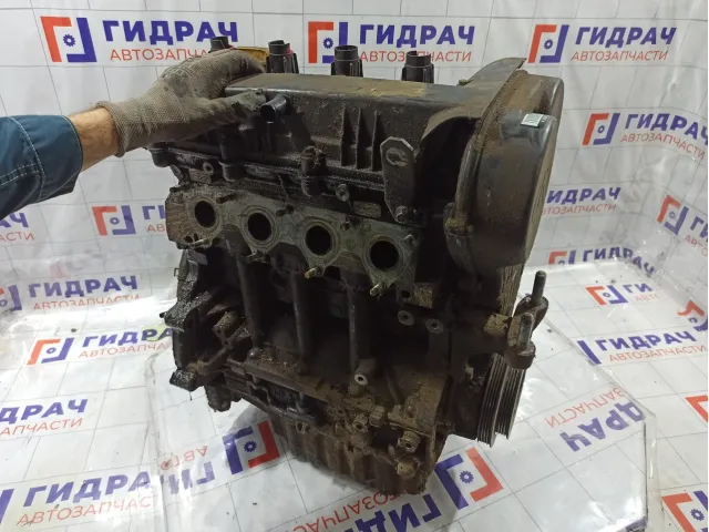 Двигатель Chery IndiS 473F1002015MC