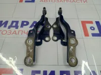 Петля капота комплект Chery Tiggo T118402040