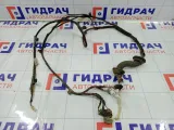 Проводка крышки (двери) багажника Chery Tiggo T113724090