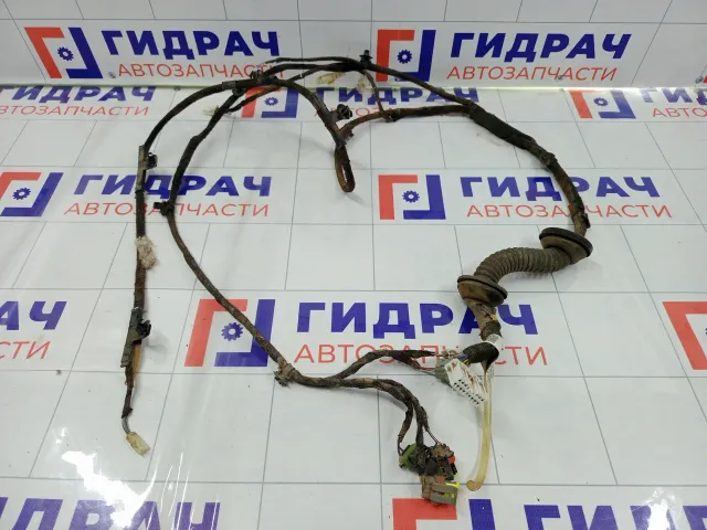 Проводка крышки (двери) багажника Chery Tiggo T113724090
