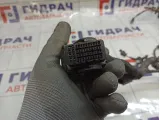 Проводка двигателя Chery Tiggo 806012414AA