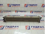 Интеркулер Chery Tiggo J601119610