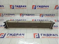 Интеркулер Chery Tiggo J601119610