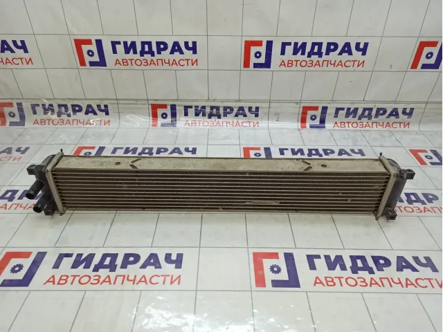 Интеркулер Chery Tiggo J601119610
