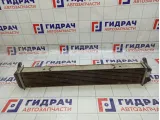 Интеркулер Chery Tiggo J601119610