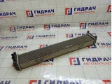 Интеркулер Chery Tiggo J601119610