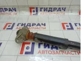 Амортизатор задний Chery Tiggo 202000961AA
