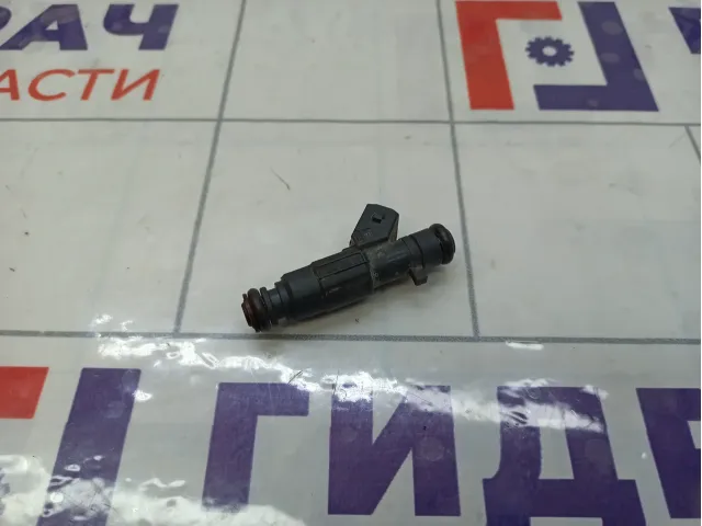 Форсунка инжекторная Chery Tiggo F01R00M191