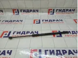 Амортизатор крышки (двери) багажника Chery Tiggo J686309010