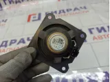 Динамик Chery Tiggo J527909013