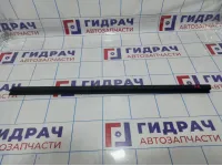 Уплотнитель стекла двери передней правой Chery Tiggo 4 Pro 554001487AA
