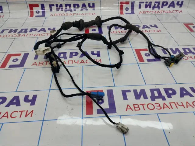 Проводка двери передней правой Chery Tiggo T11