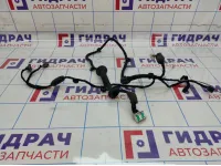 Проводка двери задней правой Chery Tiggo T11