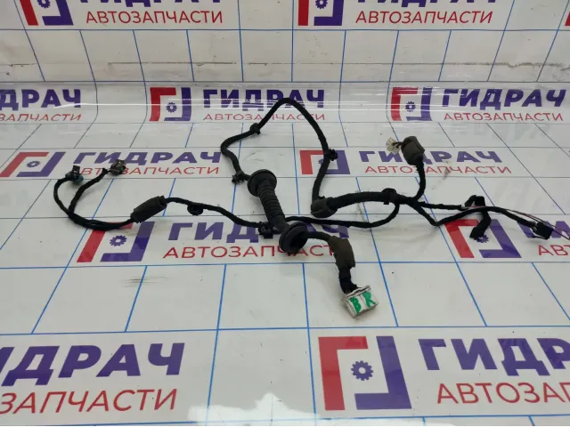 Проводка двери задней правой Chery Tiggo T11