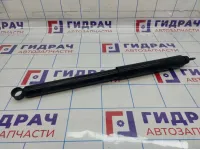 Амортизатор задний Chery Tiggo T11 T112915010