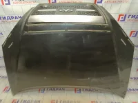 Капот Chery Tiggo T11 T118402100DY