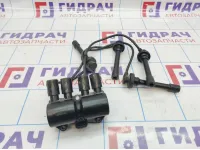 Катушка зажигания Chery Tiggo T11 .