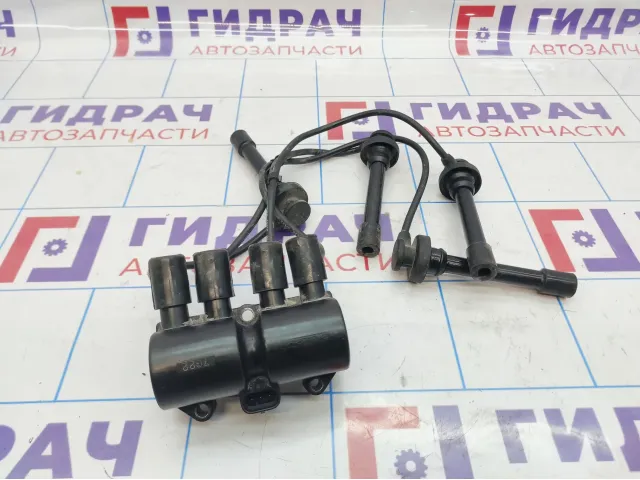 Катушка зажигания Chery Tiggo T11 .