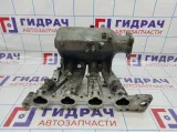 Коллектор впускной Chery Tiggo T11 SMW250294.