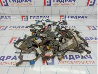 Фишка (разъем) Chery Tiggo T11 .