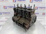 Блок двигателя Chery Tiggo T11 SMW250288.