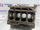 Блок двигателя Chery Tiggo T11 SMW250288.
