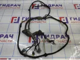 Проводка двери багажника Chery Tiggo T11 T113724090.