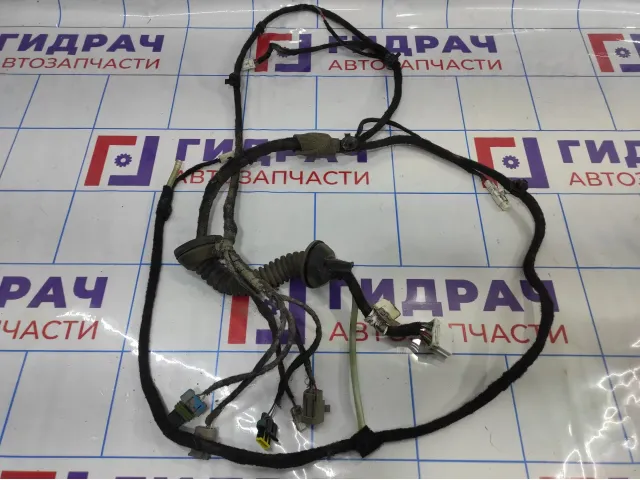 Проводка двери багажника Chery Tiggo T11 T113724090.