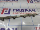 Рейка топливная Chery Tiggo T11 SMW250228.