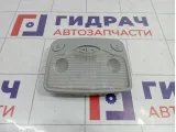 Плафон салонный Chery indiS S123714010