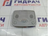 Плафон салонный Chery indiS S123714010