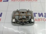 Плафон салонный Chery indiS S123714010