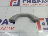 Ручка внутренняя потолочная Chery indiS S126906011BA