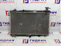 Радиатор основной Chery indiS