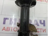 Амортизатор передний правый Chery indiS S18D2905010