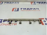 Рейка топливная Chery indiS S211121010BA.