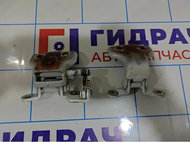 Петли двери передней правой Chery indiS S126106020DY.